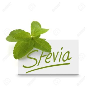 stevia-2