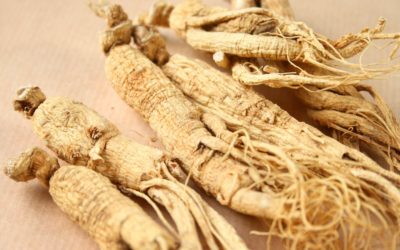 Panax ginseng: Το σημαντικότερο προσαρμογόνο βότανο και τα οφέλη του για την υγεία