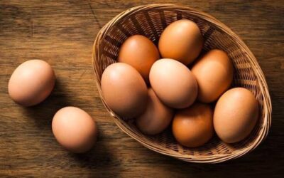 Daily consumption of more than one egg reduces the risk of coronary heart disease